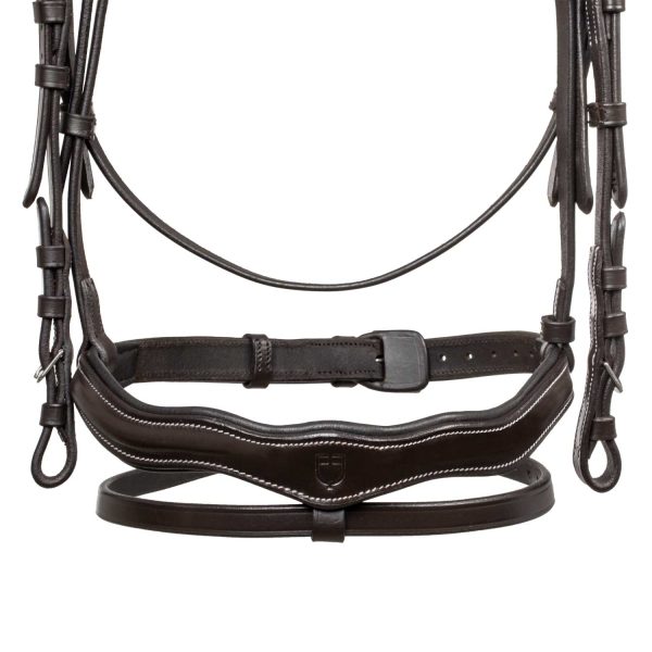 LOGO ANATOMIC LEATHER BRIDLE - immagine 16