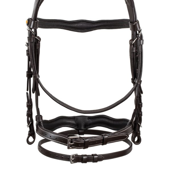 LOGO ANATOMIC LEATHER BRIDLE - immagine 17