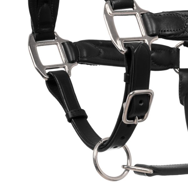 LEATHER HALTER WITH BRAIDED NYLON INSERTS - immagine 5