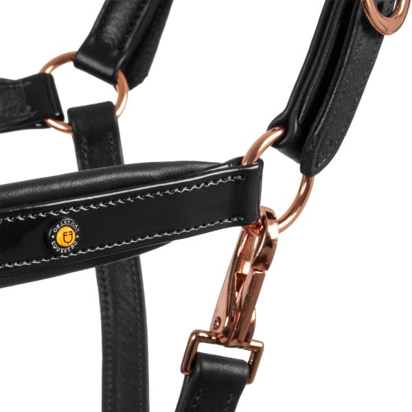 ANATOMIC LEATHER HALTER WITH ROSEGOLD FITTING - immagine 5