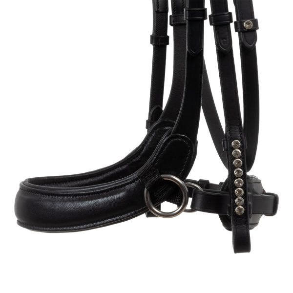 SUNSET BITLESS NOSEBAND SOFT ANATOMIC LEATHER BRIDLE - immagine 8