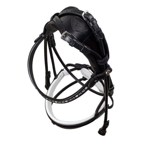 DEMOISELLE STRAIGHT NOSEBAND STLEX PEARL ANATOMIC LEATHER BRIDLE - immagine 9